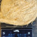 Semi Husk Coconut img 20251004 wa0017