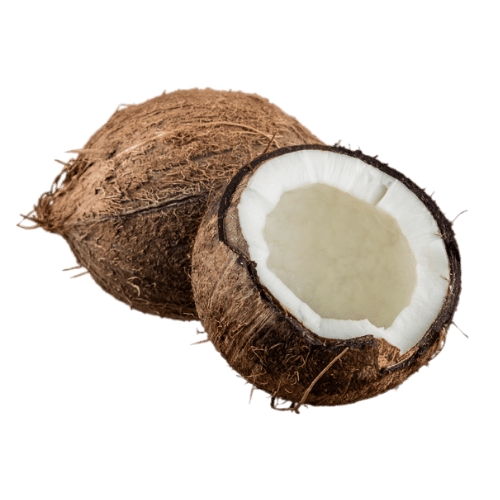 green minimalist bonsai art small tree logo template 20251004 145737 0001