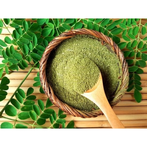 green minimalist bonsai art small tree logo template 20251012 094234 0000