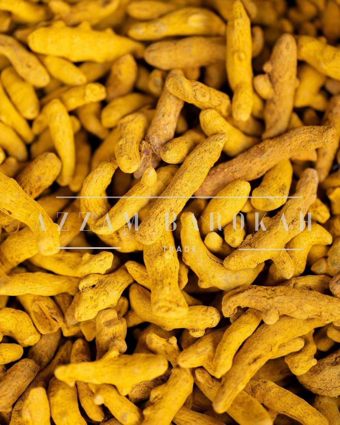 photo with watermark 20251106 184821 0000
